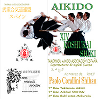 Anverso folleto 2017 - XIX Koshukai Shiki Vigo